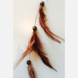 Fjer p spnde Lys brun