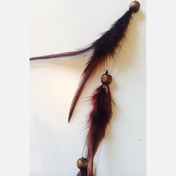 Fjer p spnde Mrkbrun