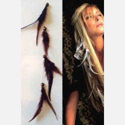 Fjer p spnde Mrkbrun